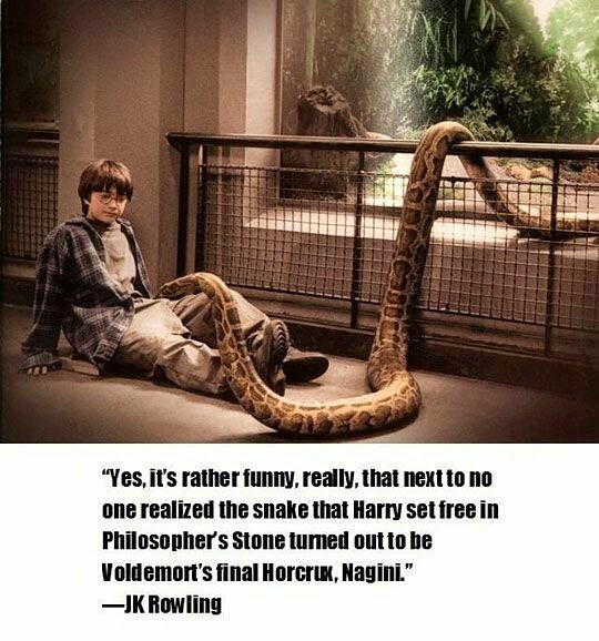 Magically Funny Harry Potter Posts and Memes
