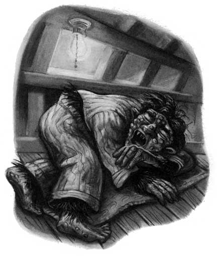 http://www.hp-lexicon.org/images/chapters/dh/dh.c06--ghoul-in-pajamas.jpg