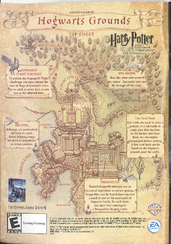 map of hogwarts grounds. Many of the details on this map are not canon.