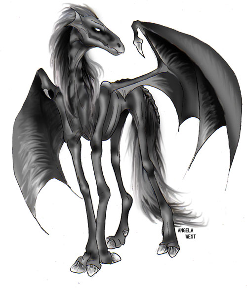 http://www.hp-lexicon.org/images/aw/thestral1-aw.jpg