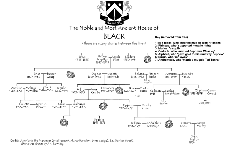 Black family tree, facsimilie of tree drawn by J.K. Rowling