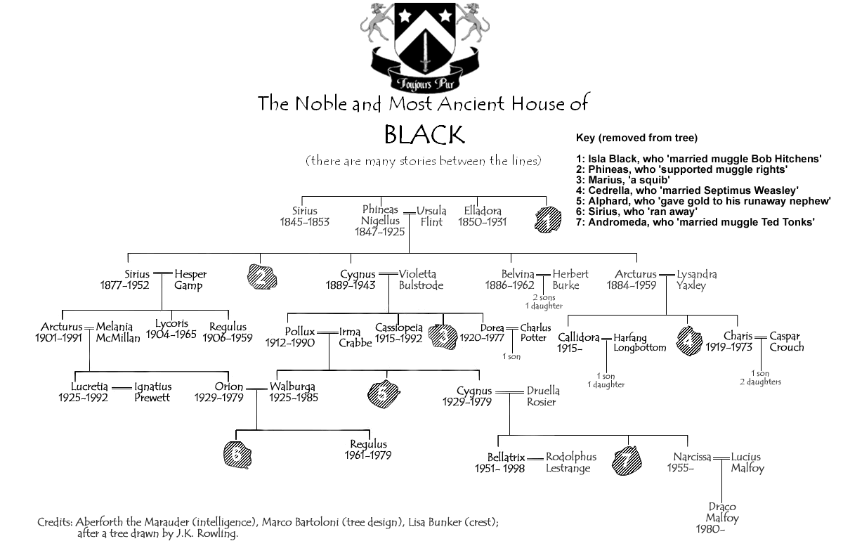http://www.hp-lexicon.org/images/blackfamilytrees/official-final-version.gif