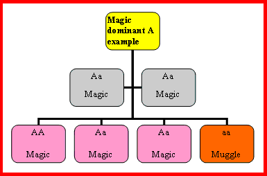 Magic dominant A example