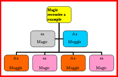 Magic recessive a example