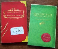 The Muggle edition of Quidditch Through the Ages is published