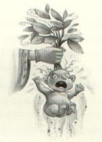 Mandrake Draught Mandrake Draught