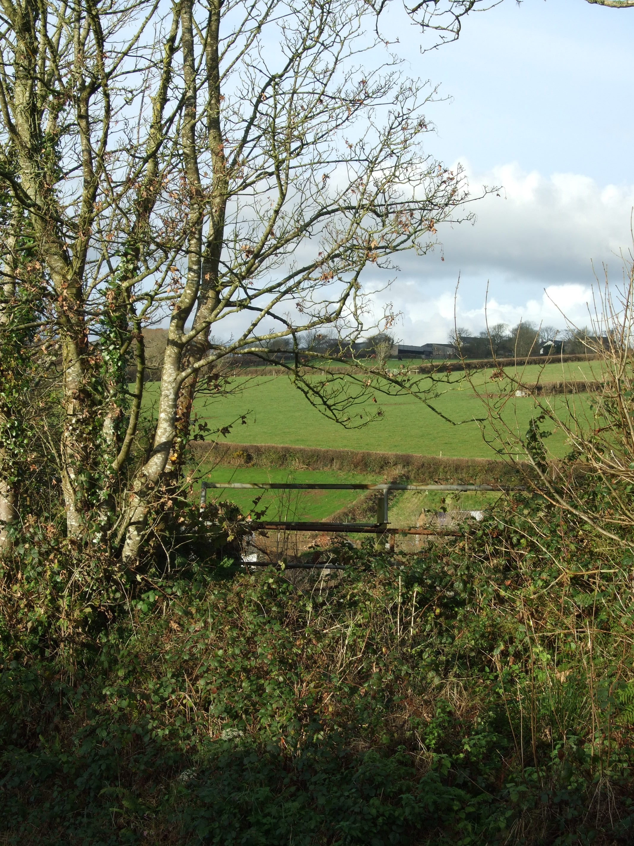 Devon Countryside