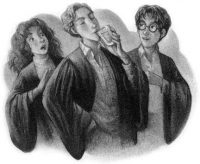 HBP14: Felix Felicis HBP14: Felix Felicis