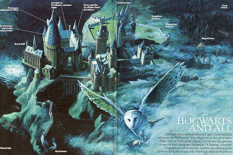 hogwarts-owls-eye