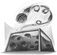 Brain Room Brain Room