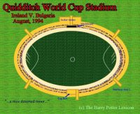 Quidditch pitch