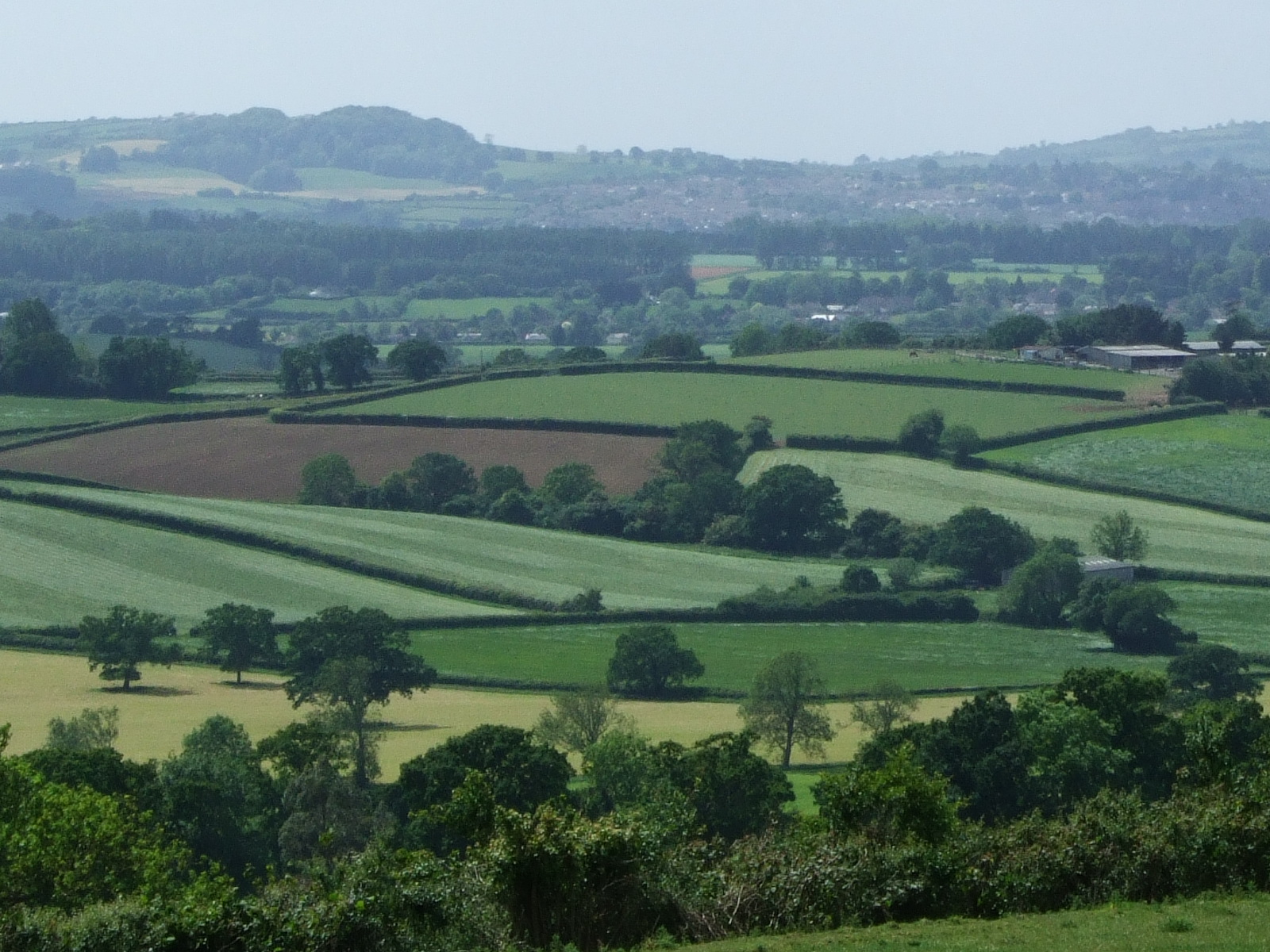 bed-and-breakfast-somerset