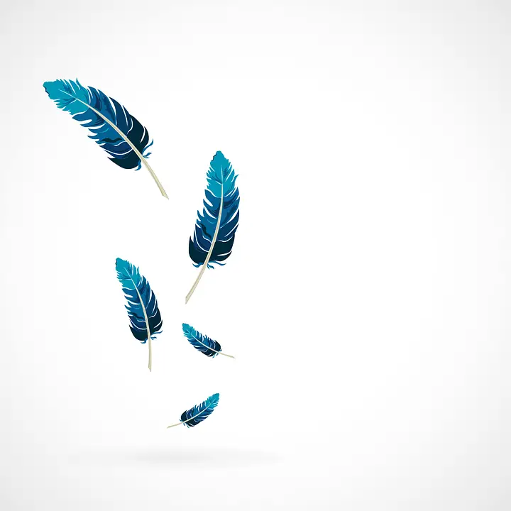 Feather