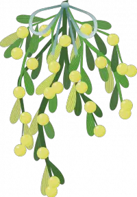 Mistletoe Mistletoe