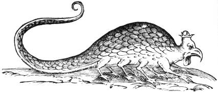 Basilisk_aldrovandi Fantastic Beasts and Where to Find Them, beast, creature, creatures (FB)