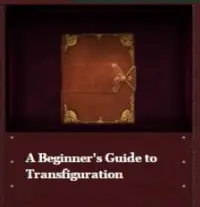A Beginner’s Guide to Transfiguration