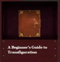 A Beginner’s Guide to Transfiguration A Beginner’s Guide to Transfiguration