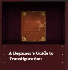 beginners-guide-transfiguration