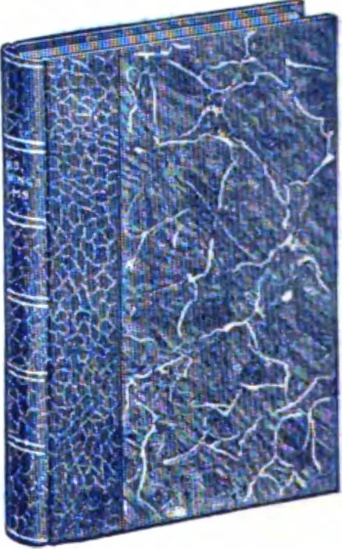 Blue Marbled Book Cover