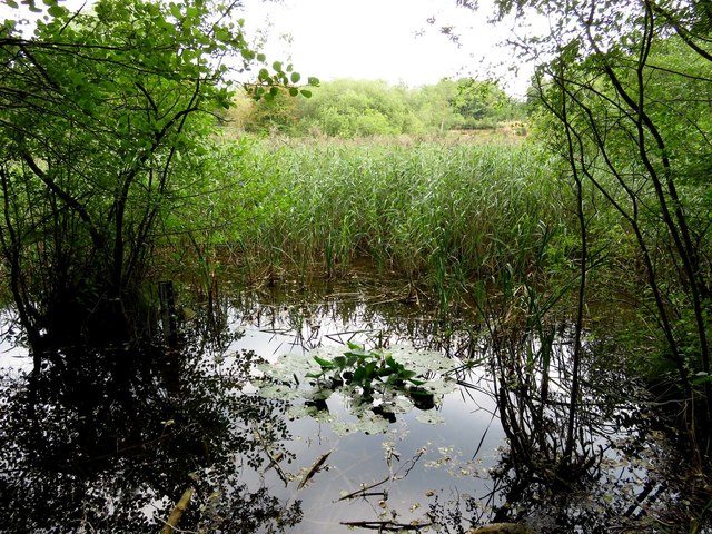 Cothill Fen Oxfordshire