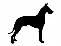 Boarhound