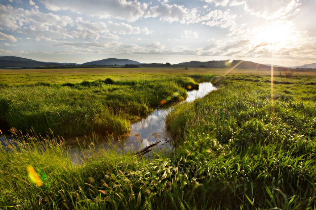 fen_USFWS