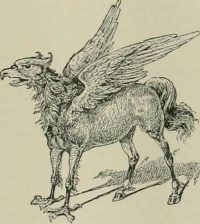 Fowl or Foul? A Study of Hippogriff Brutality