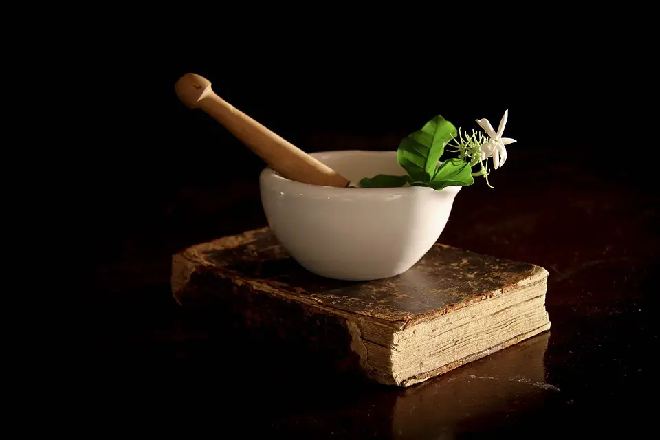 Mortar and Pestle on Book