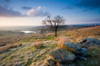 Ellis Moor Ellis Moor