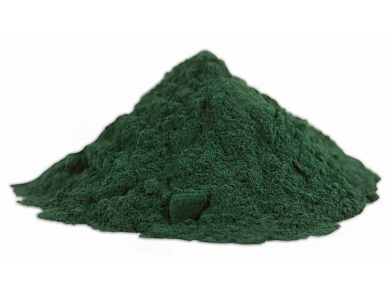 800px-Spirulina