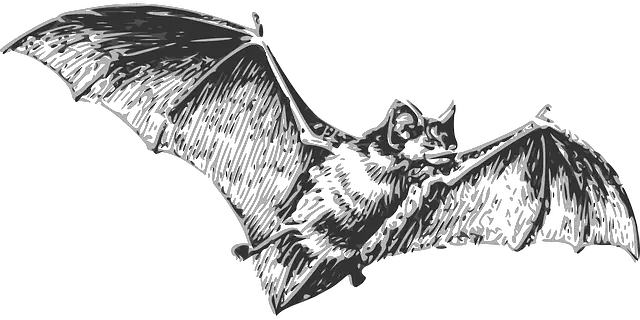 Bats Harry Potter Lexicon