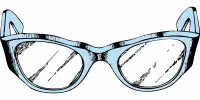 Re-Visibility Spectacles (Re-Visibility Glasses)