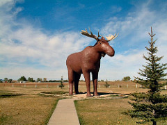 Moose Jaw