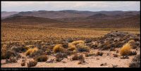 Patagonian desert Patagonian desert