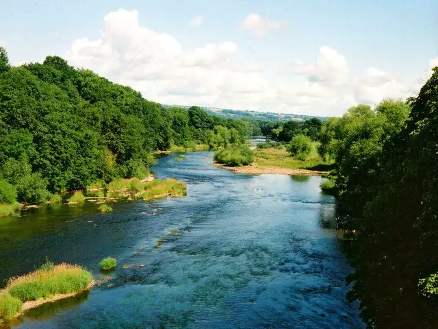 Looking downstream in the direction of Hereford