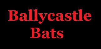 team names Ballycastle Bats