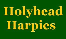 team names Holyhead Harpies