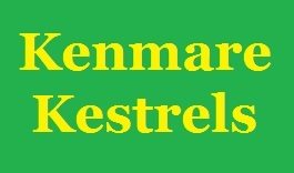 team names Kenmare Kestrels