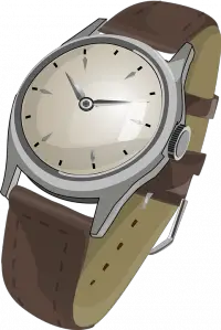 Wristwatch