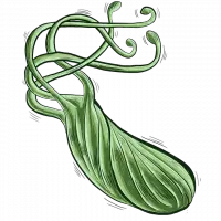 Snargaluff Pods Snargaluff Pods