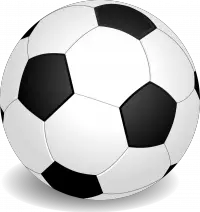 Magpie Chaser “Only Tried Football for a Laugh” Magpie Chaser “Only Tried Football for a Laugh”