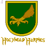Holyhead Harpies Quidditch team