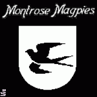 The Patonga Proudsticks Quidditch team holds the Montrose Magpies to a draw