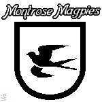 Montrose Magpies Quidditch Team