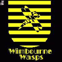 Ludo Bagman plays Beater for the Wimbourne Wasps