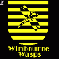 Ludo Bagman plays Beater for the Wimbourne Wasps Ludo Bagman plays Beater for the Wimbourne Wasps