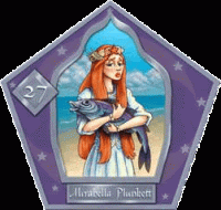 Haddock Haddock