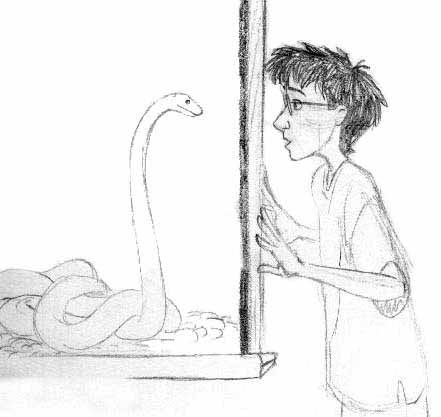 boa+harry-tr boa+harry-tr