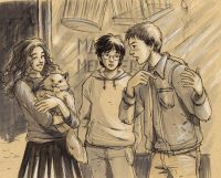 Hermione buys Crookshanks