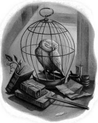 Hedwig is killed during the Battle of the Seven Potters Hedwig is killed during the Battle of the Seven Potters